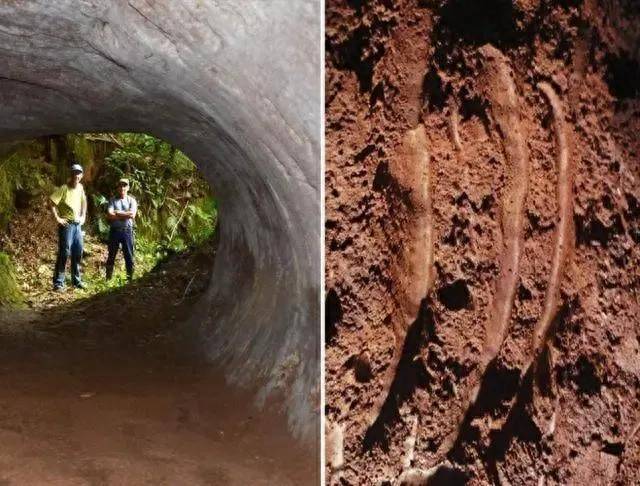 巴西发现13000年前的史前隧道,共计上万条,科学家:非人类建造_大地