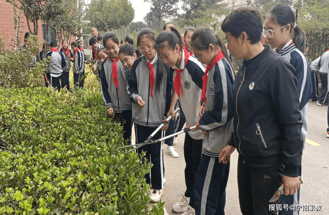 宁阳县洸河学校图片