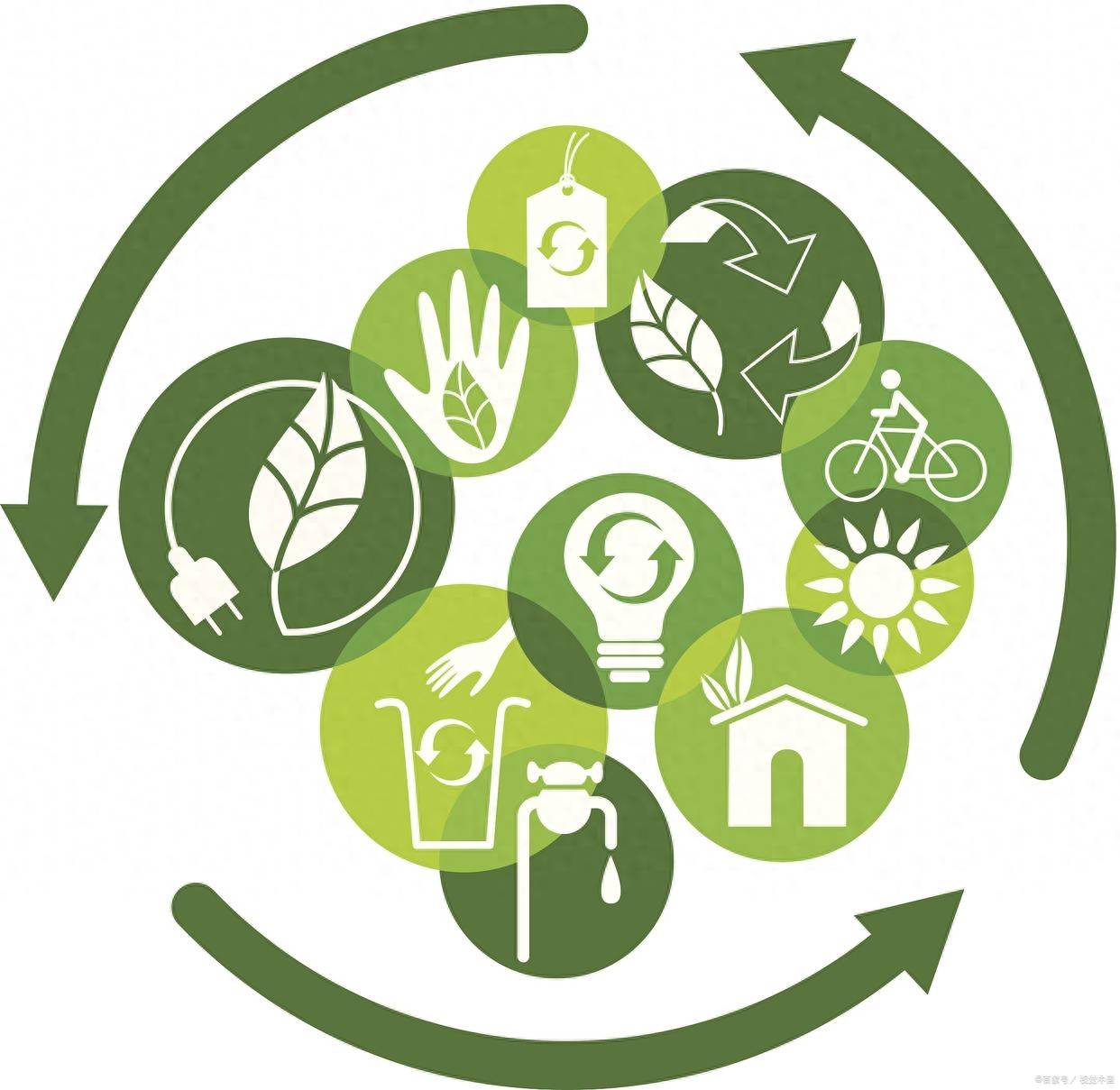 循环购模式:绿色消费的新趋势