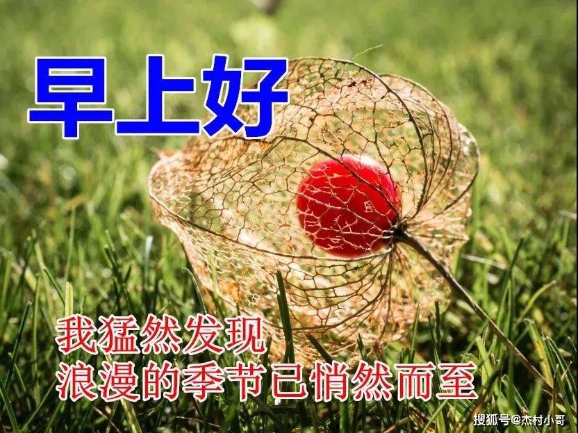 原创            8张最美秋天风景早安图片带字带祝福语