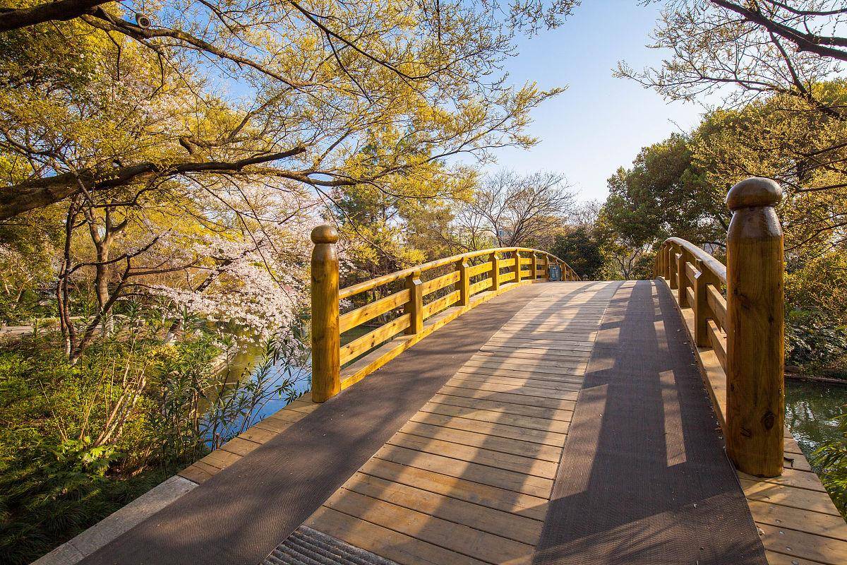 杭州绾波亭一处令人非常向往的风景_亭子_游客_西湖