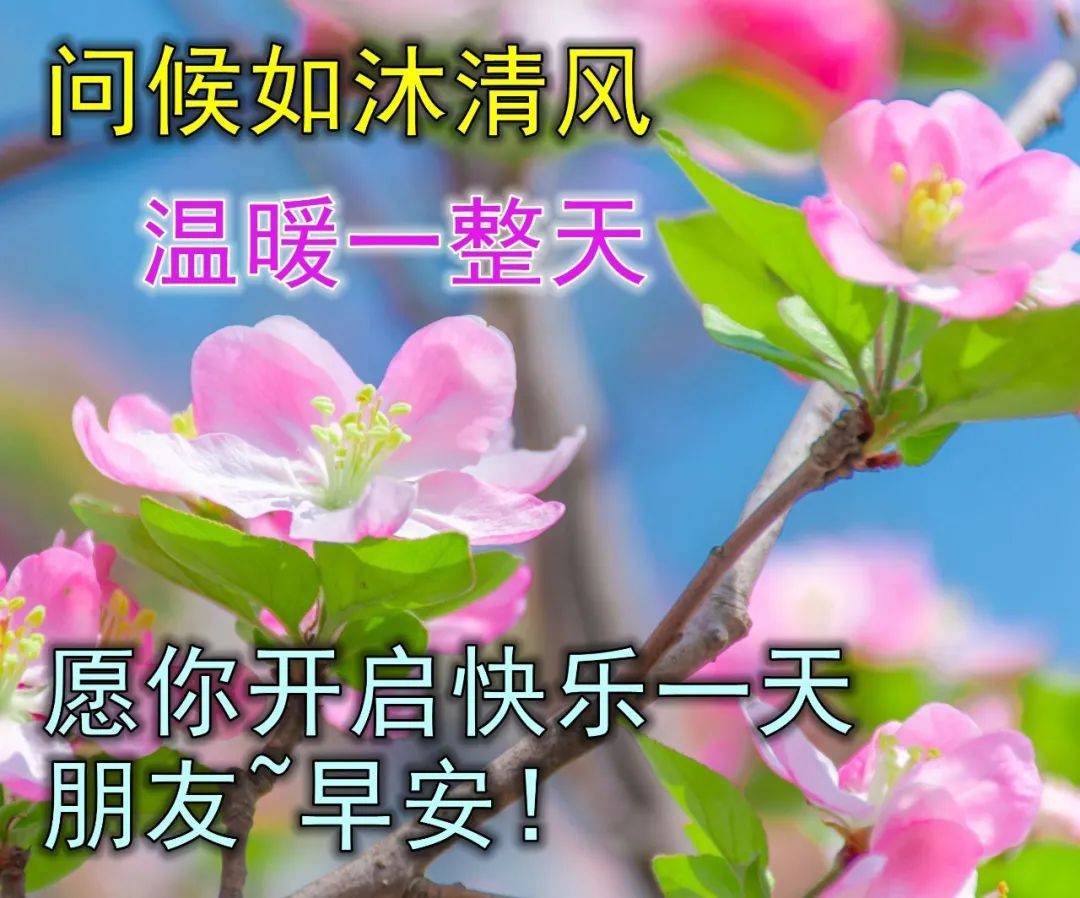 9张暖心早上好问候动态表情图片带字带祝福语 秋日清晨早安问候祝福语简短语句