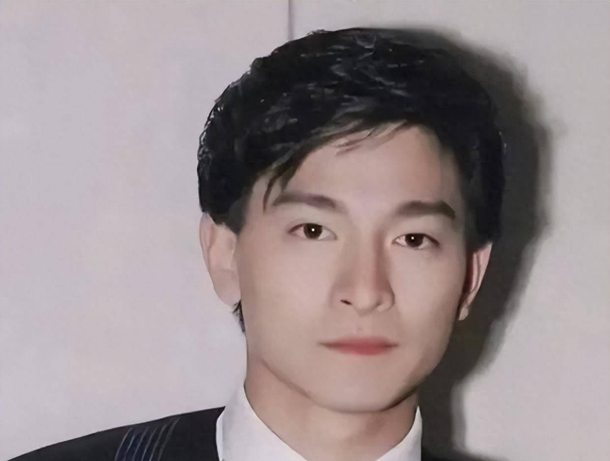刘德华上榜,何炅进不了前五_吴奇隆_苏有朋_钟汉良