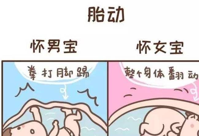 凭胎动看男女靠谱吗?过来人说一说