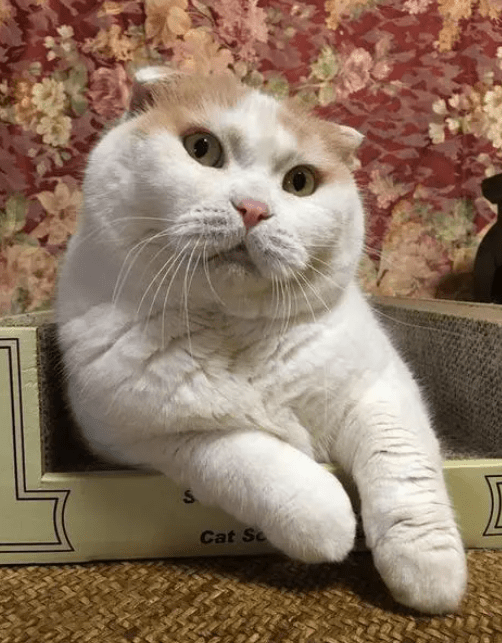 痔疮:我的经历与治疗方法_问题_习惯_都会