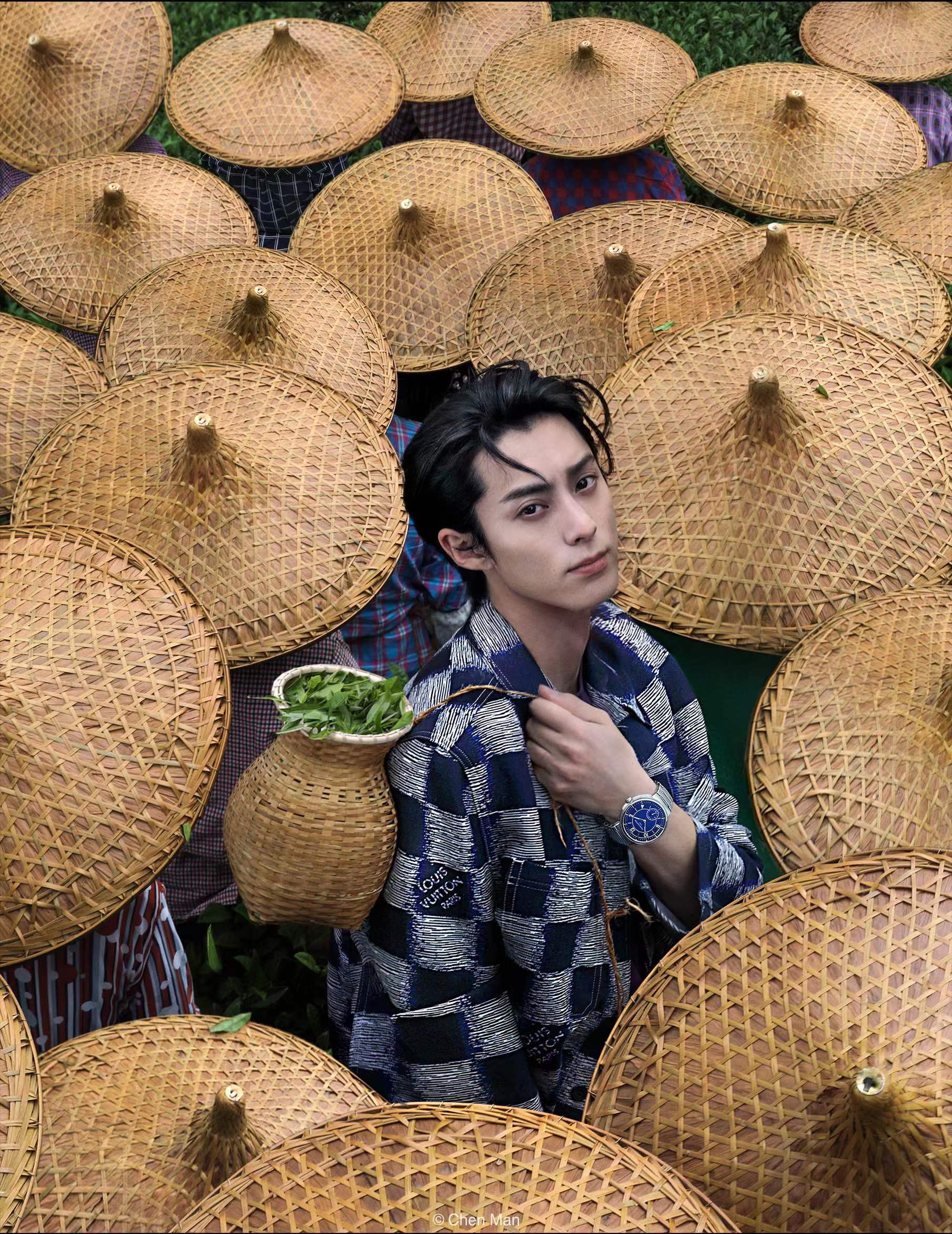 王鹤_茶园_融合