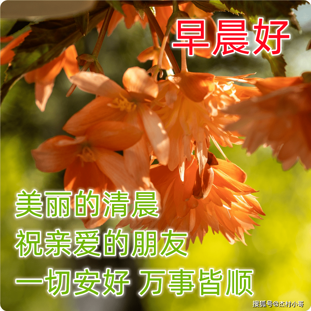 26超漂亮早安问候图片动态带字 最新早上问候动态表情图片_生活_朋友