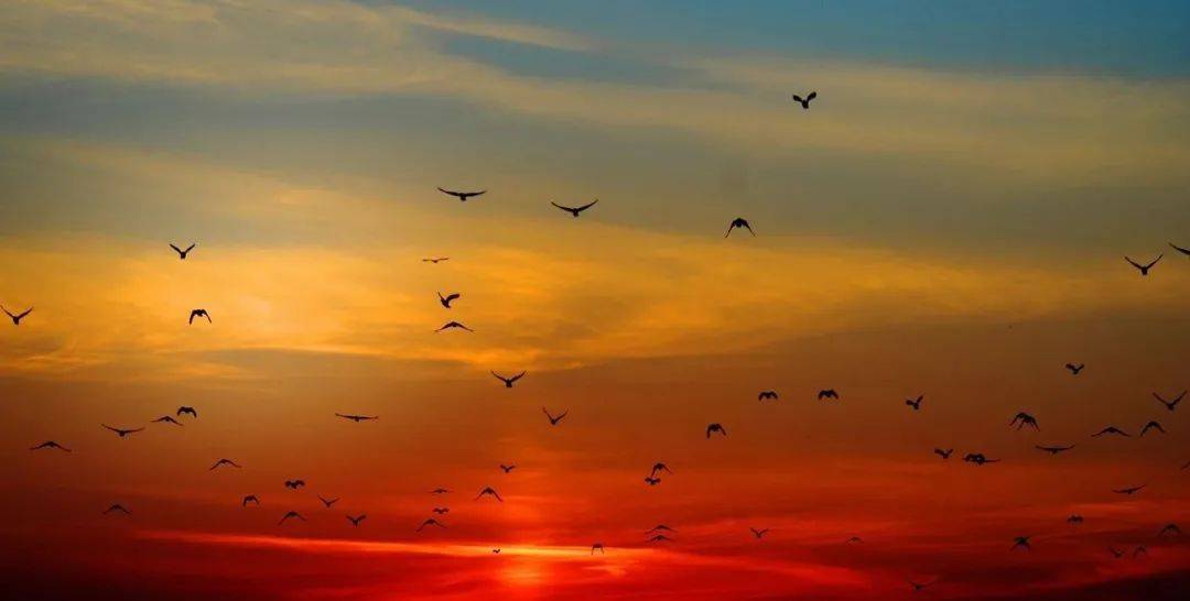 下半年家电厂商争夺的主场生变了-家电圈官网