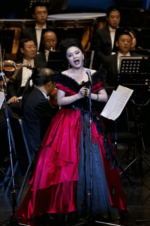 著名歌唱家王静:离开聂卫平后,她独自抚养儿子的艰辛岁月_生活_内心