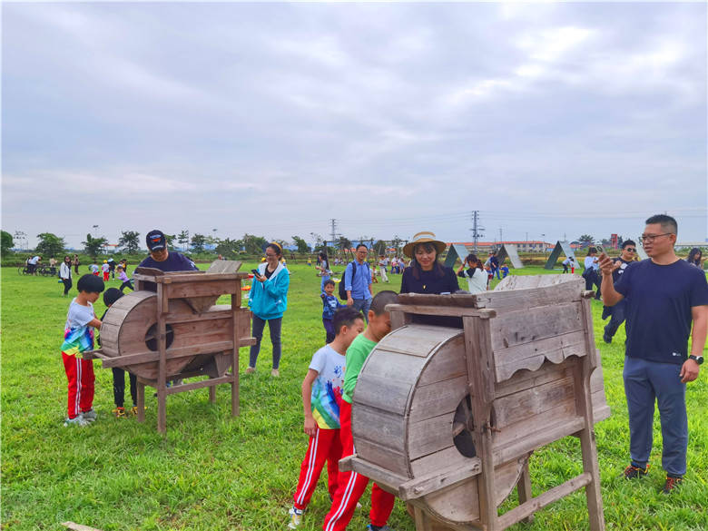位于广州市增城区石滩镇三江的幸福田园犇牛牧场迎来秋收团高峰,上个