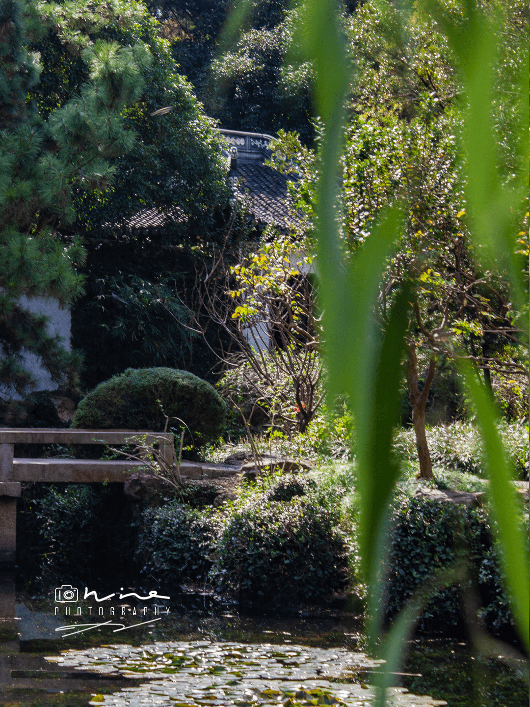 逼自己逛完上海五大园林第三站之秋霞圃,一天时间怎么玩_景区_凝霞