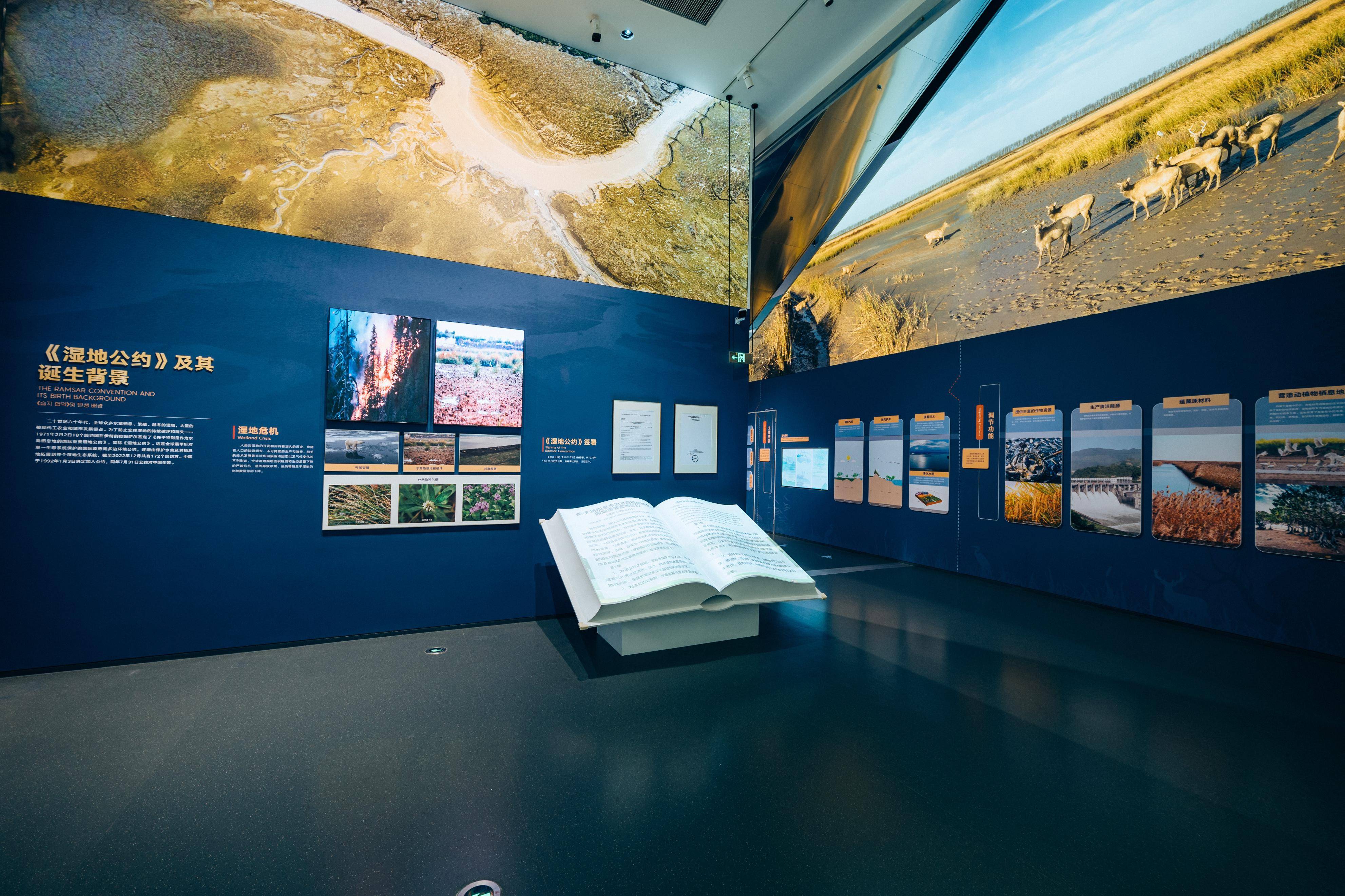 黄海湿地博物馆预约图片