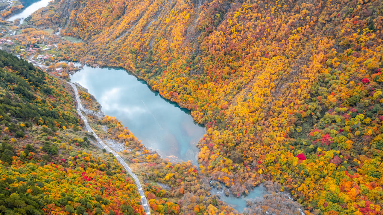深秋的松坪沟,让你领略秋天的童话世界!_景区_游客_茂县