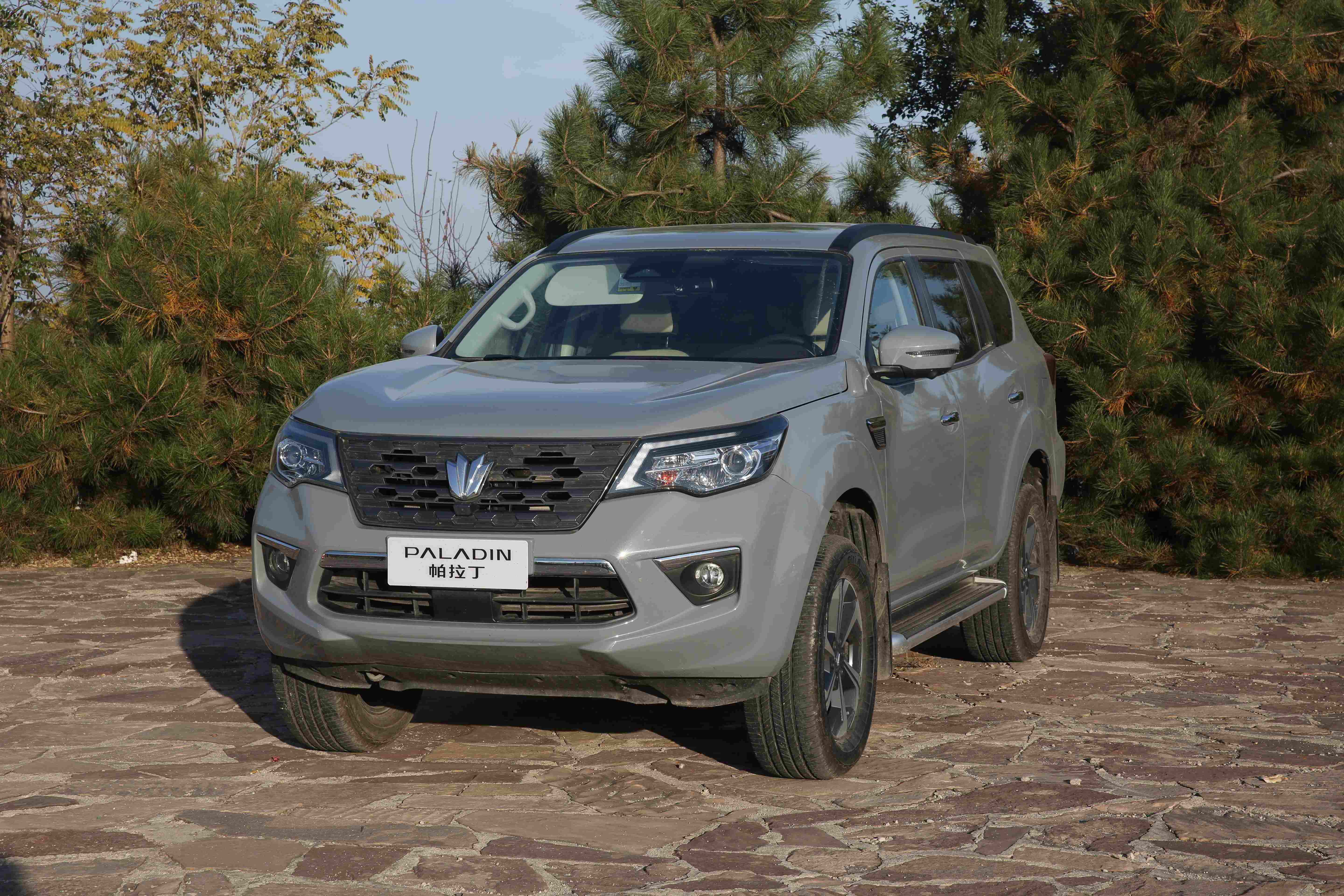 今年新款帕拉丁横空出世,从它的外观中便能感受到它身体里蕴含着的