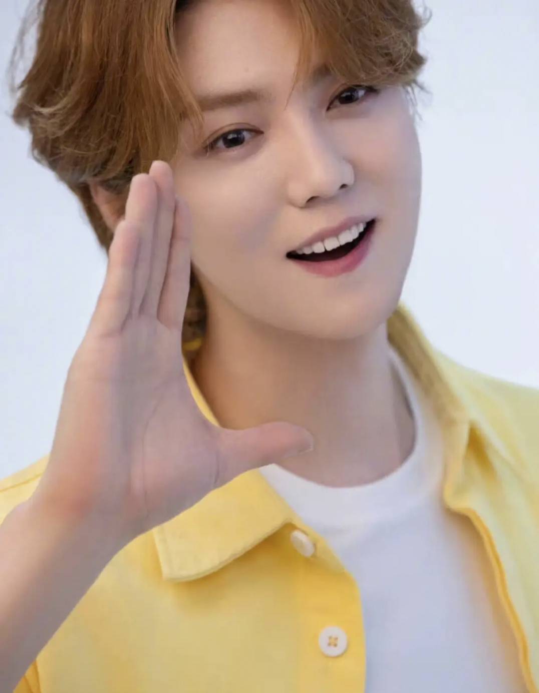 从娱乐界巅峰到销声匿迹,曾经的顶流帅哥无戏可拍_鹿晗_观众_电视剧