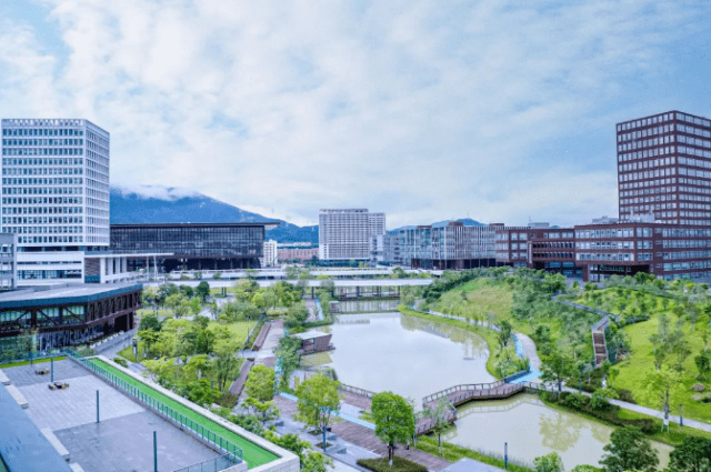深圳技术大学好不好?坐拥全球顶尖科学家,堪称明星阵容!