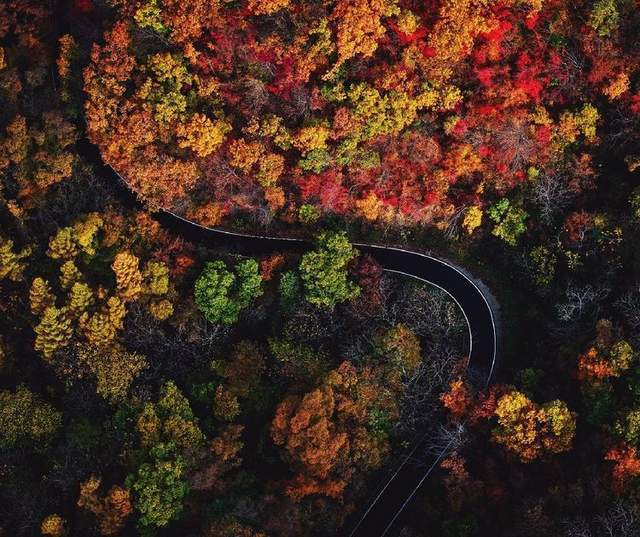 排石》 王艳萍(山西)▲《断崖秋色》 王 利(伊春)▲《秋日葫芦岛》