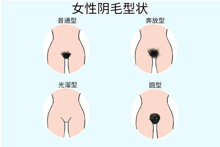 女性下面有几种可爱图片