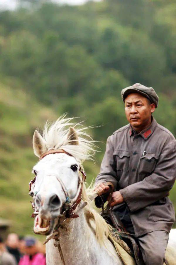 《丁宝桢》马少骅: 50岁时妻子支持他当北漂,因耿直遭同行厌烦_李兰荣