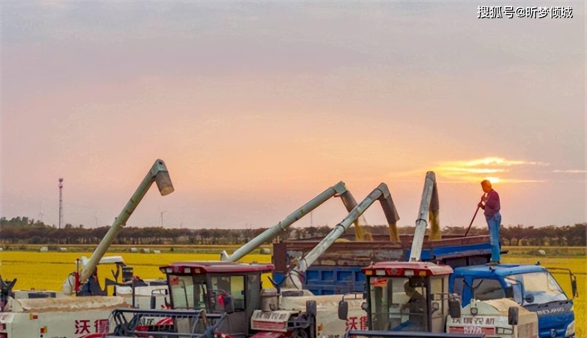 2024年比较特殊,无春年遇上闰年,3件事不宜做,俗语怎么说?