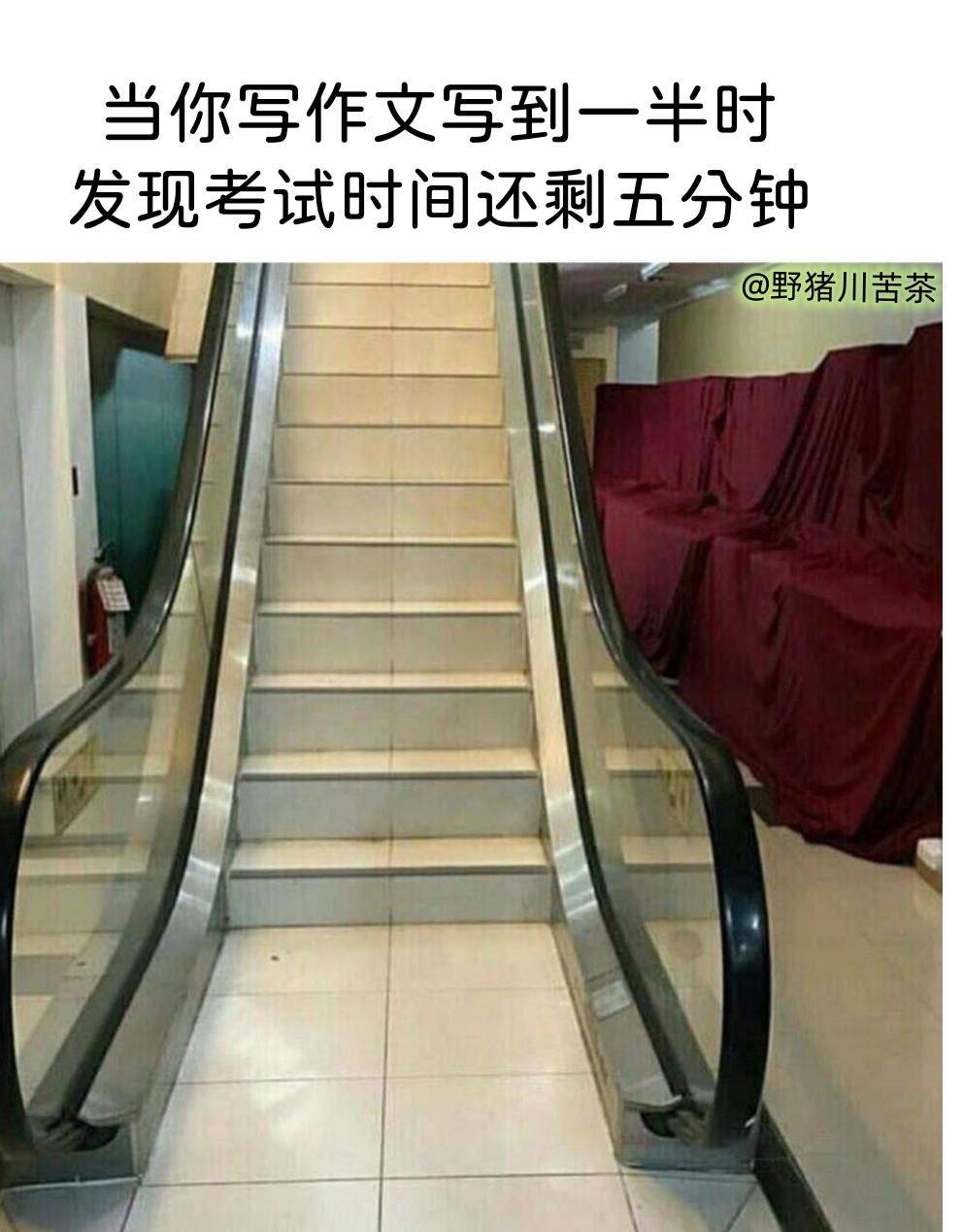 搞笑表情包:猫还是打不开罐头_大脑_包皮_地板