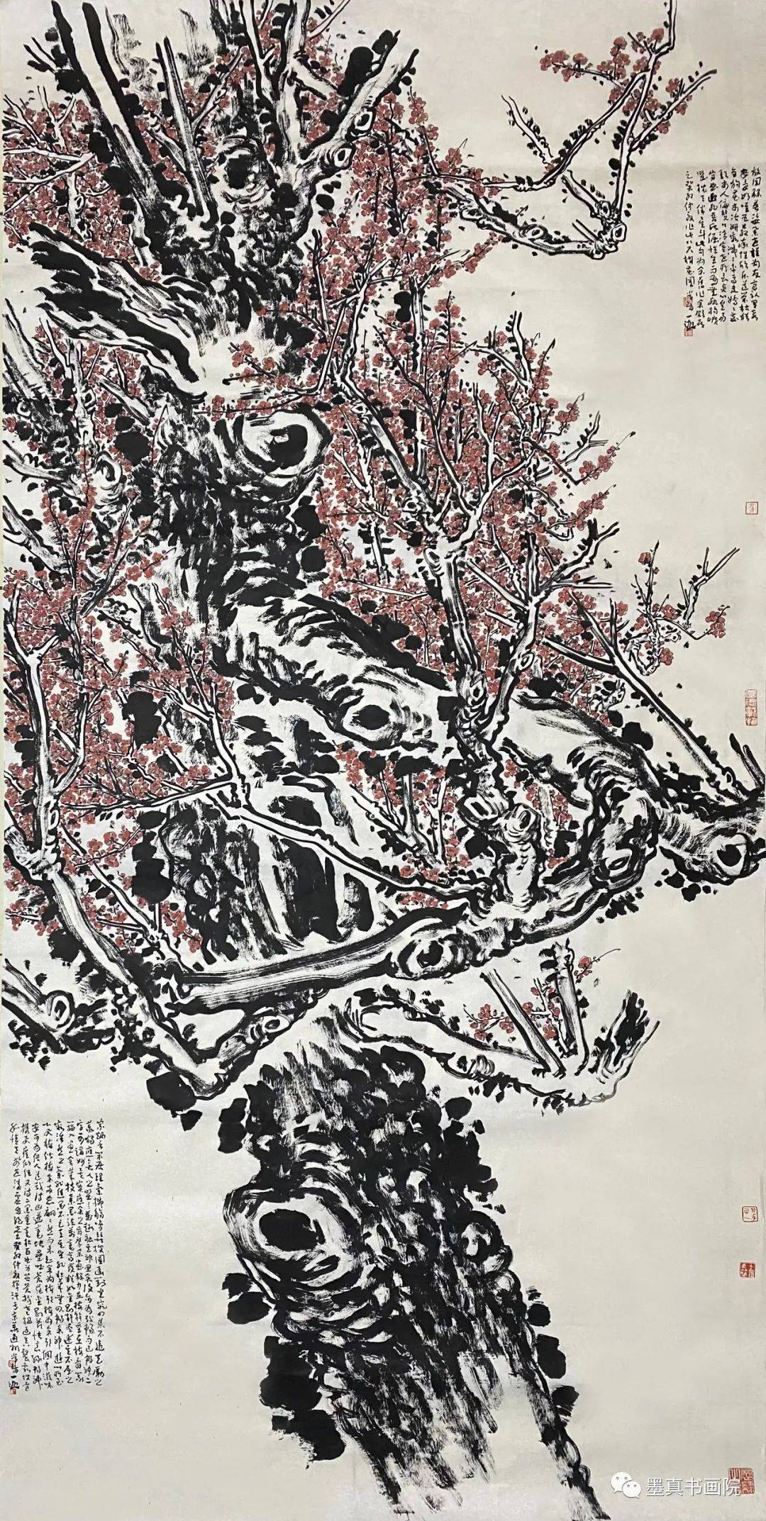 杨一家|众妙之缘-2024全国百位书画家名人录_泉州_弋阳_东阳