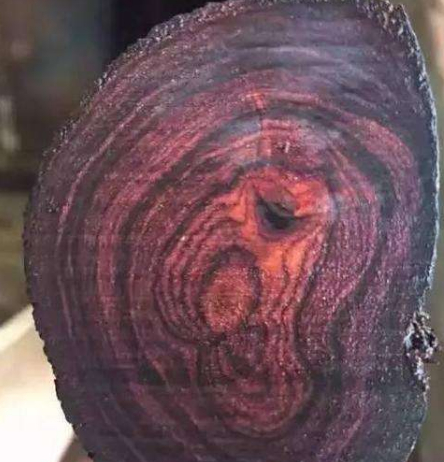 异军突起的"贵州黄花梨",虽常仿冒海黄,但其本质并不比海黄差_木材