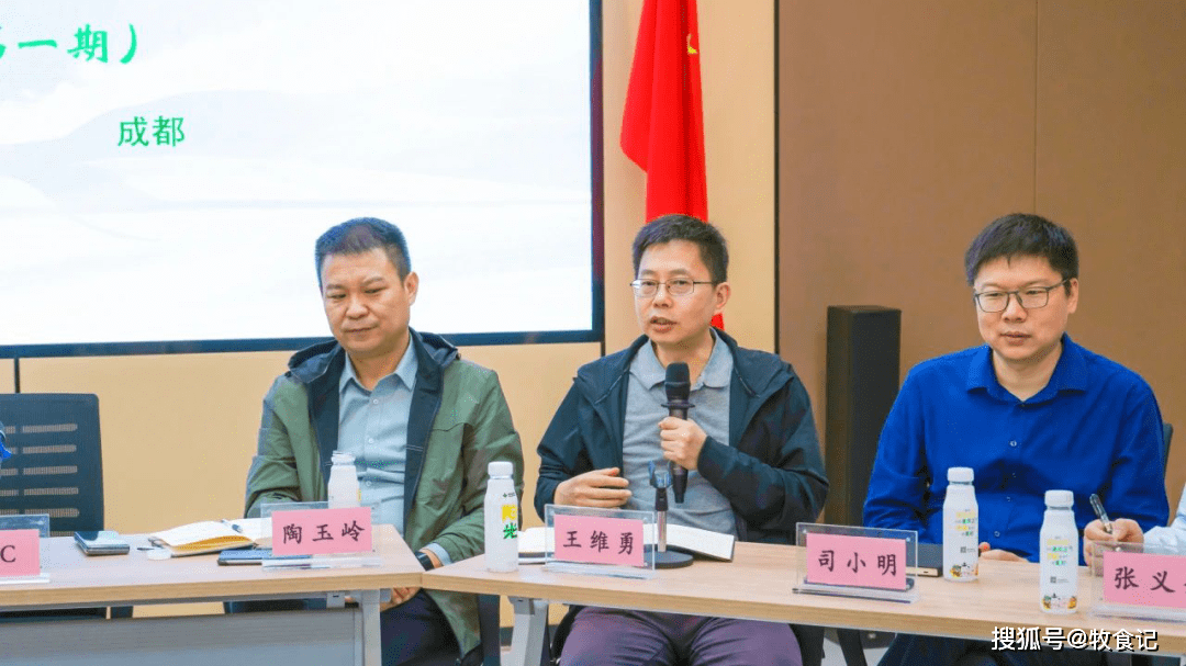 资源总监及至副总裁,两年半前一度跟随原总裁邓成跳槽至天邦的王维勇