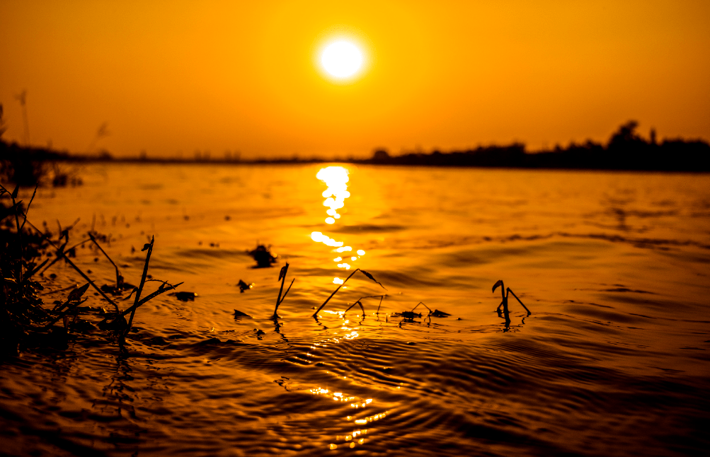 秋天,是一个凄美的季节,尤其是秋天的夕阳更美,美得让人陶醉,连李商隐