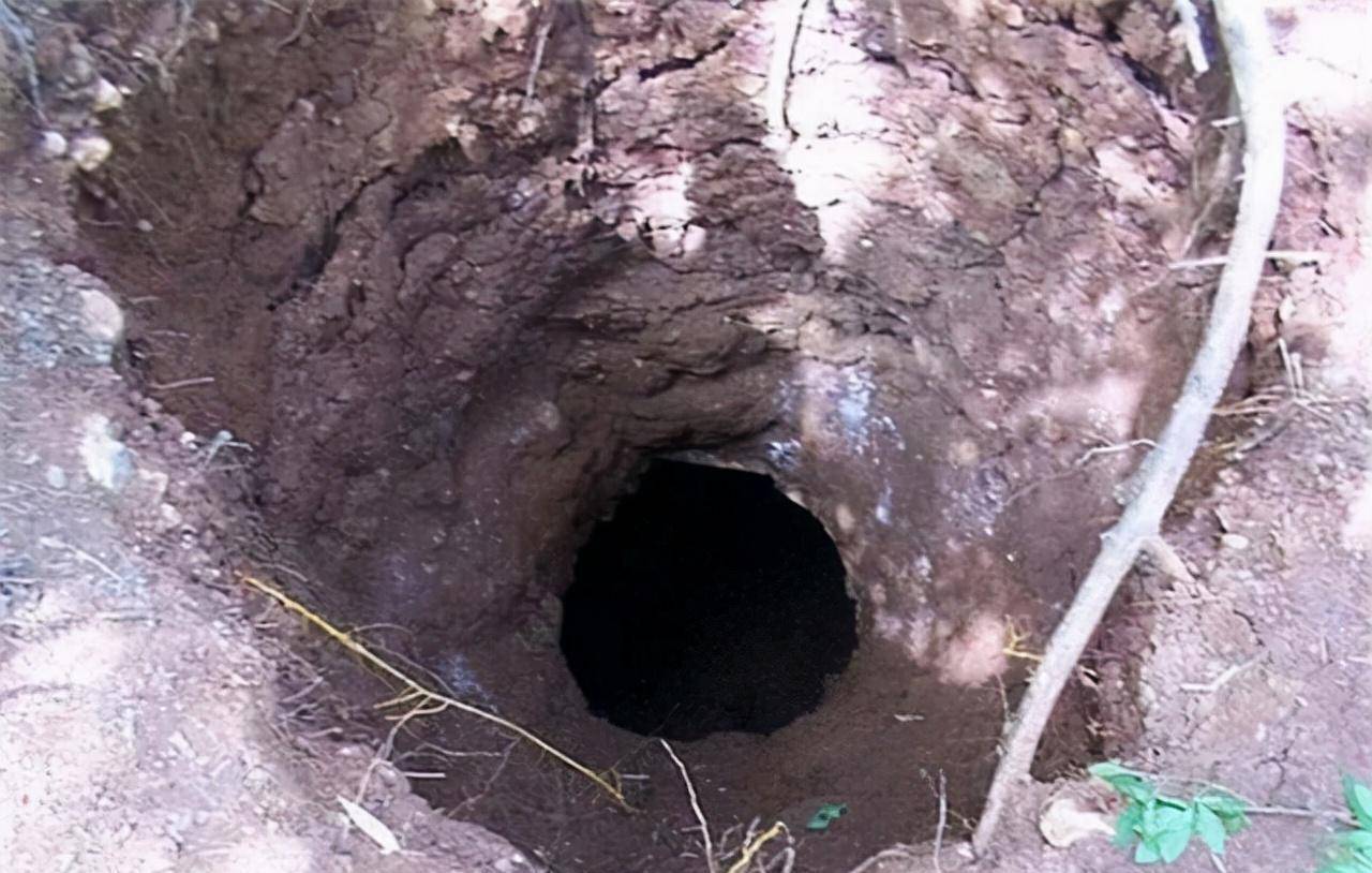 机关被钢索破解,开棺后只剩一颗头颅_慈禧_安德海因_权利