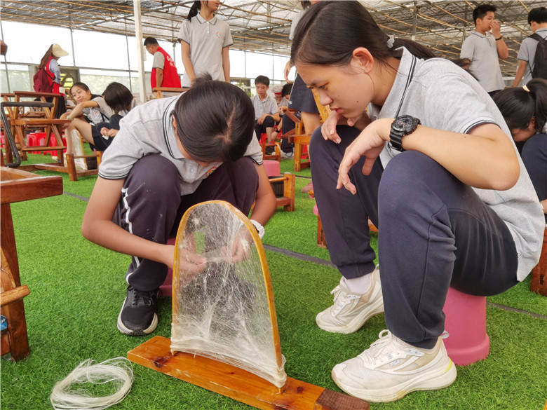 学习蚕桑丝织渔耕文化,了解基塘农业原理,佛山渔耕园迎来研学潮_鱼塘