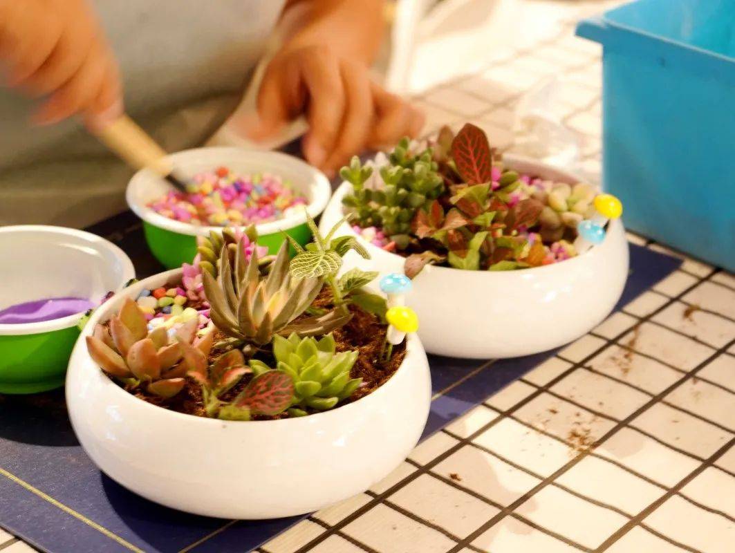 有爱生活丨"微观世界 你我共赏"宝能科技园多肉盆栽diy活动圆满举办!