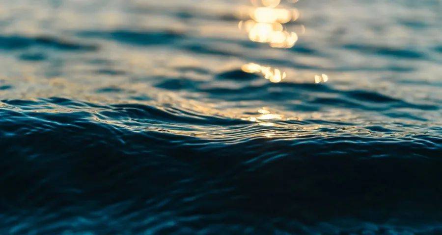 双11大战不是拼低价内卷，是家电巨头洗牌第一枪-家电圈官网