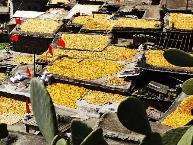 木里县俄亚纳西族乡首届"沃麦澄更"节成功举办_文化_旅游_建设