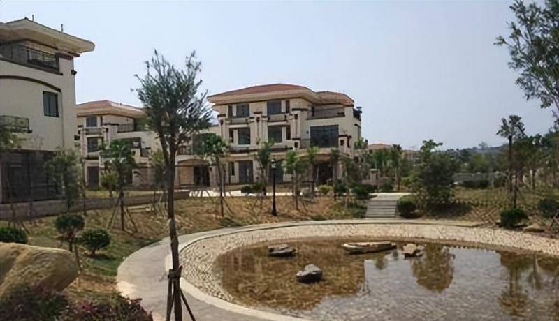 北大富商陈生出资2亿,建138栋别墅赠与村民,却背负骂名不敢回村_工作