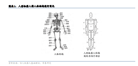 244 个自由度,而 人形机器人将人体结构简化为十几个部位以及几十个
