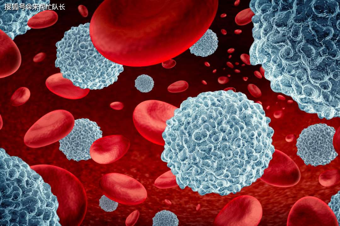 白细胞减少症,身体会有哪些表现?_粒细胞_免疫_患者