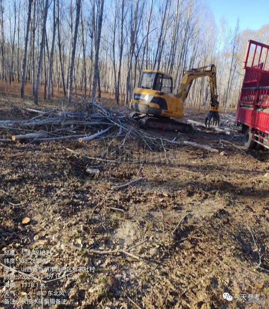 忻府區三交鎮羅家社村:動用機械砍伐林木,毀壞農地 ,相關手續是否合法