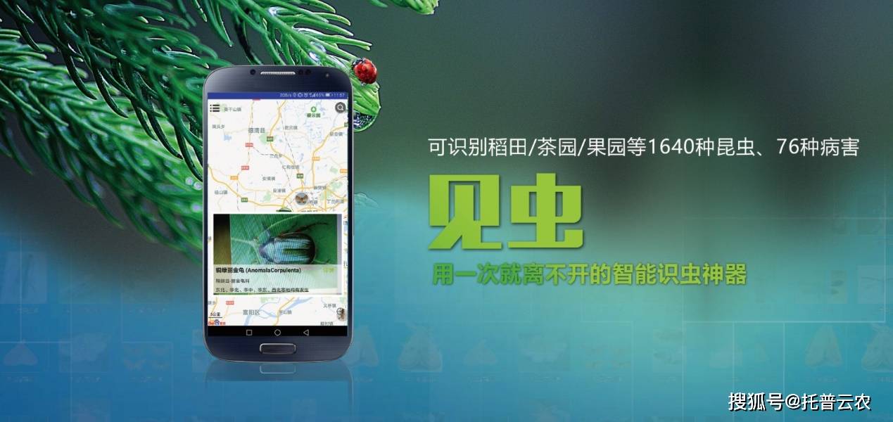 实现"虫脸识别"融入ai图像识别技术托普云农见虫应用几秒钟识别昆虫