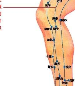 每天刮一次大腿内侧,20天后,你可能会笑得"合不拢嘴"_身体_养肝_经络