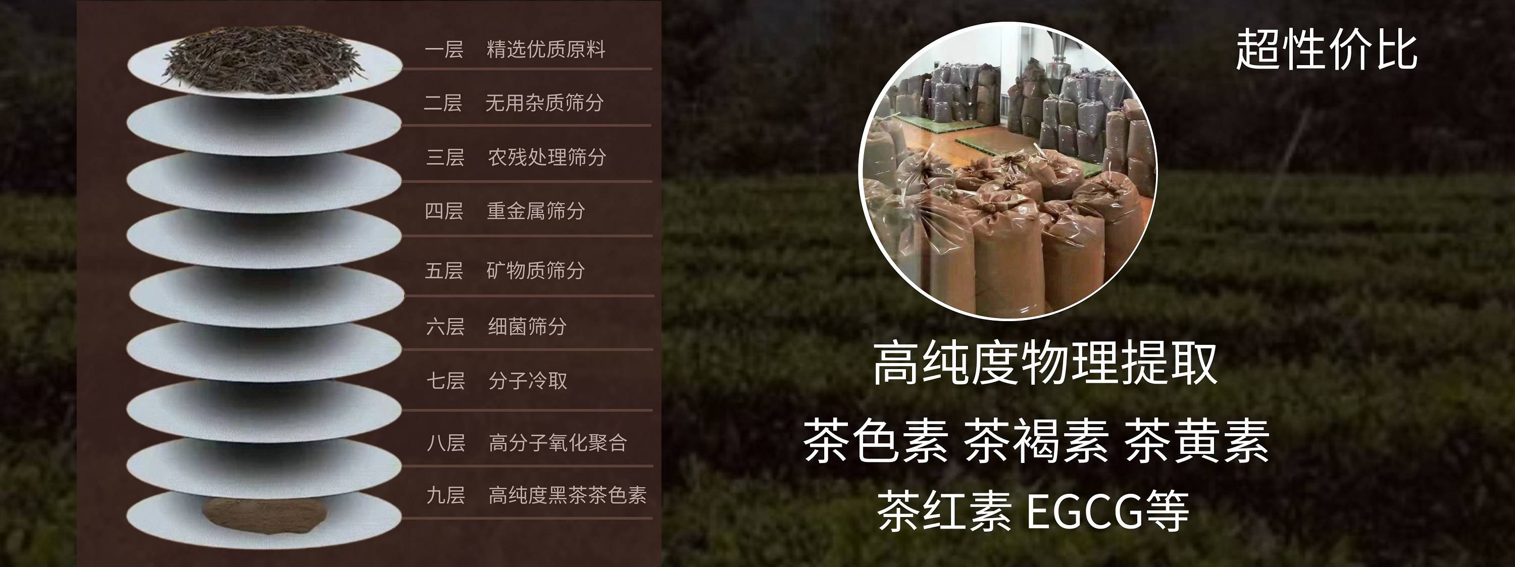 茶褐素与茶叶品质:鉴别与评估_含量_加工_方法