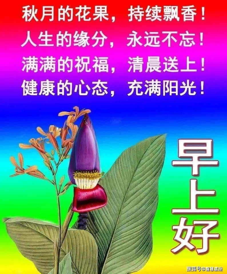 友情问候图片大全图片