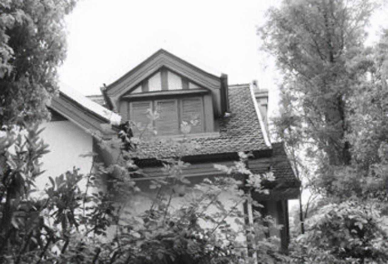 三大亨:逼退张啸林,震慑杜月笙,黄金荣向他赔罪_上海滩_赵铁桥_江安