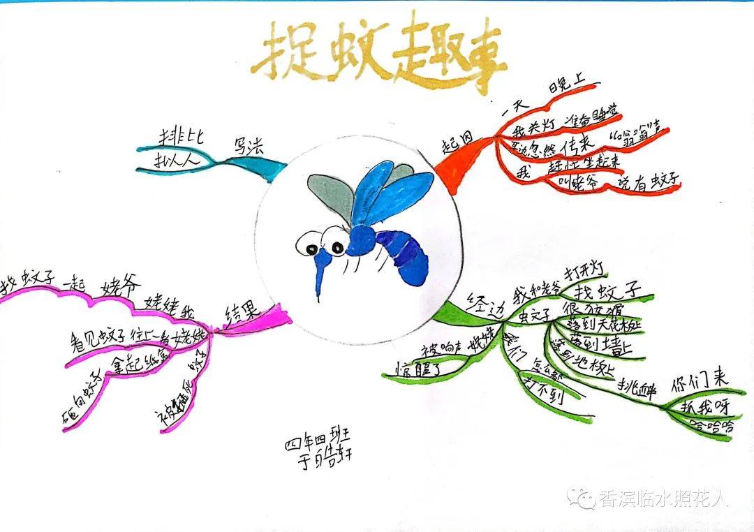 生活思维导图怎么画图片