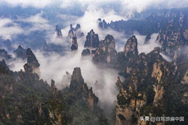 你認為中國最美十大名山有哪些?_華山_天柱山_世界