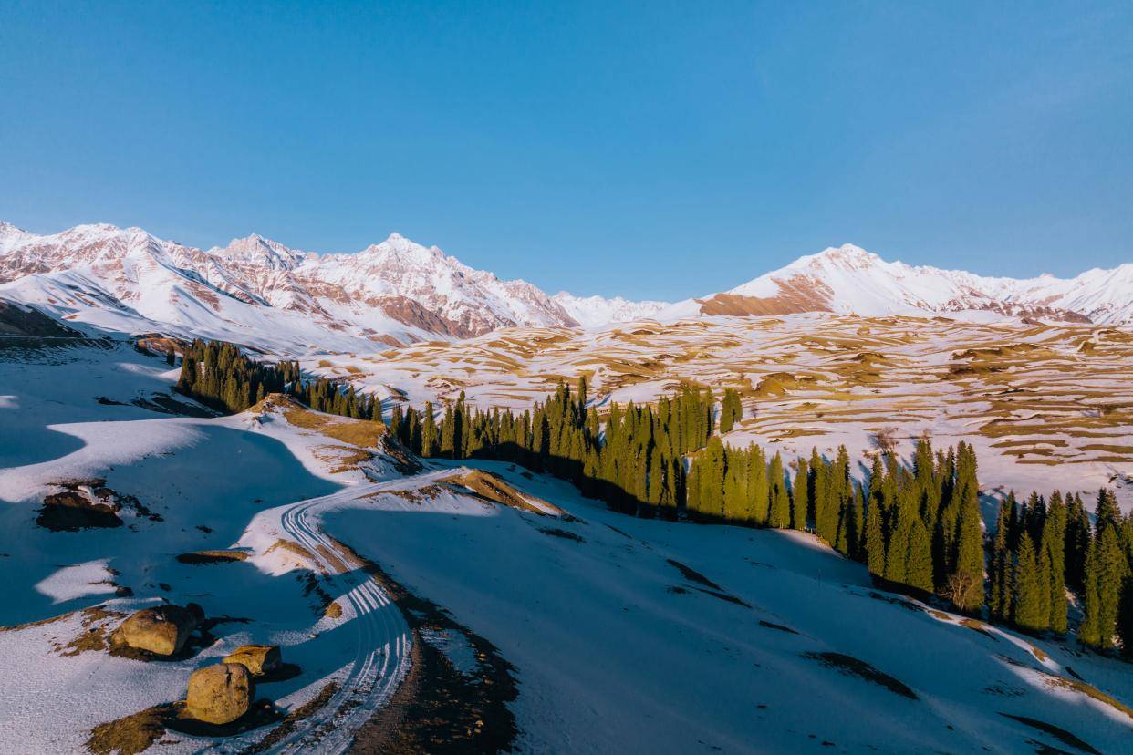 大自然_冬日_森林