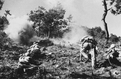 张思忆_伤员_问题