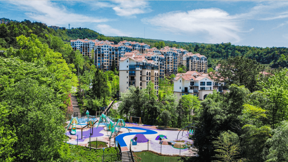 金洲61云澜栖海拔1200米,90%森林覆盖率,35000个负氧离子含量每立方