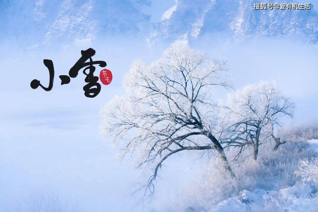 小雪节气的由来和风俗，小雪节气的特点