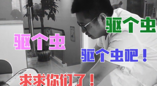 德牧突然消瘦主人不明原因，兽医检查后：怎么能这么粗心？ 